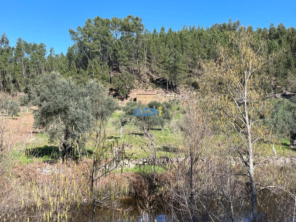Terreno para Venda em Sarzedas Foto 31