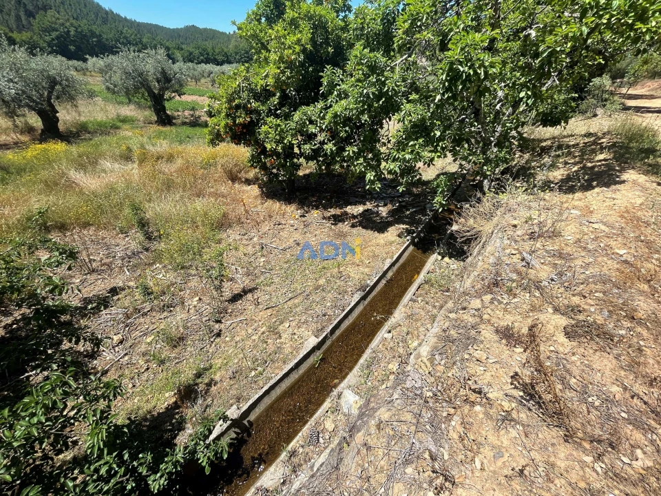 Terreno para Venda em Sarzedas Foto 5