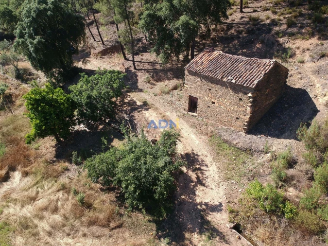 Terreno para Venda em Sarzedas Foto 10