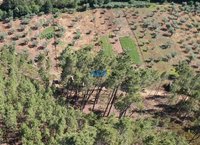 Terreno para Venda em Sarzedas Foto 27