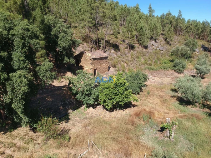 Terreno para Venda em Sarzedas Foto 2