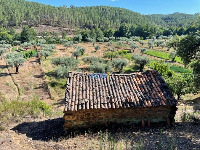 Terreno para Venda em Sarzedas