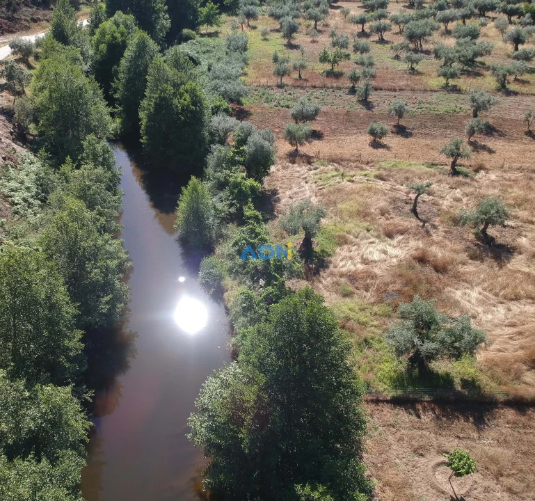 Terreno para Venda em Sarzedas Foto 25