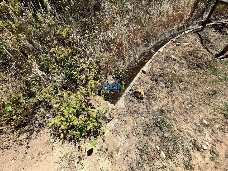 Terreno para Venda em Sarzedas Foto 6