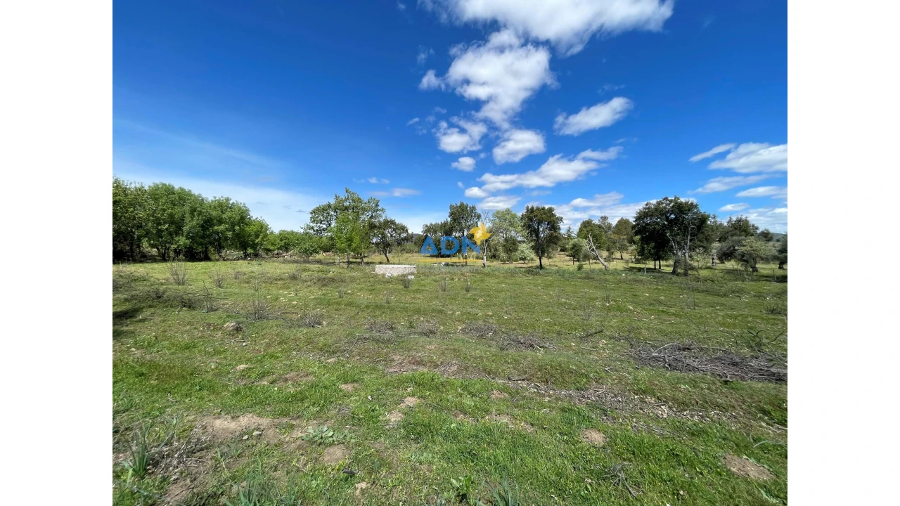 Terreno para Venda em Penamacor Foto 8