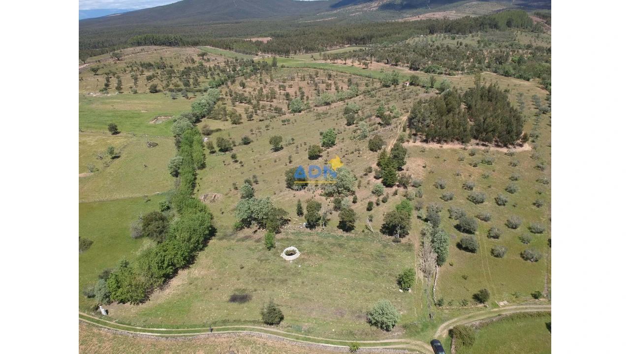 Terreno para Venda em Penamacor Foto 1