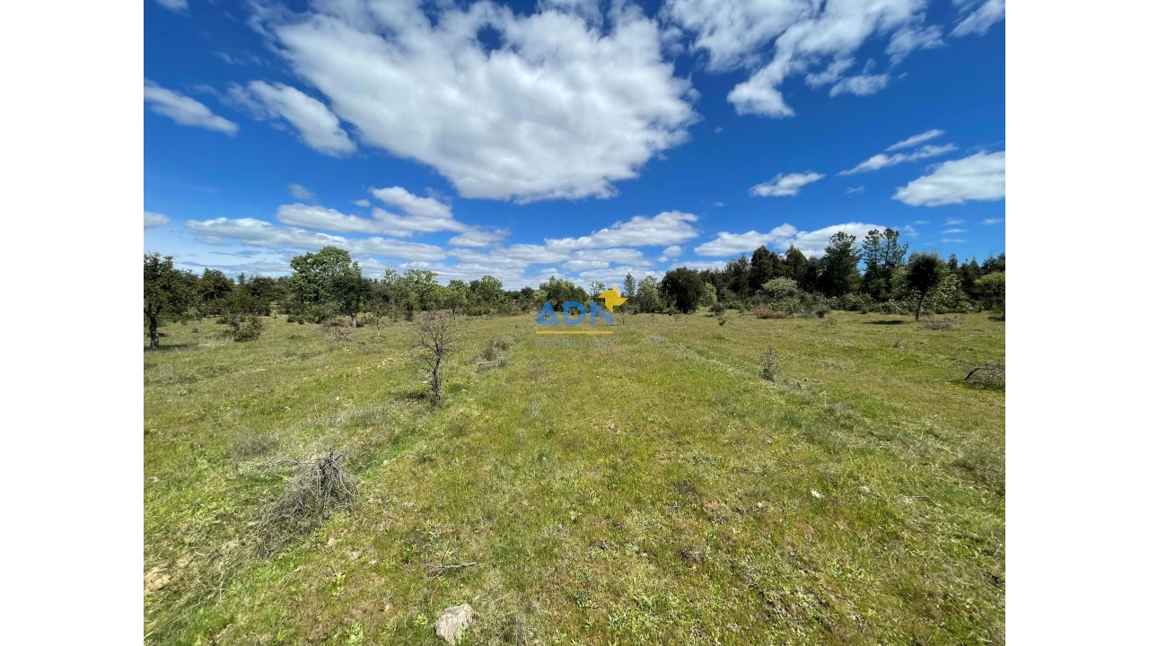 Terreno para Venda em Penamacor Foto 14