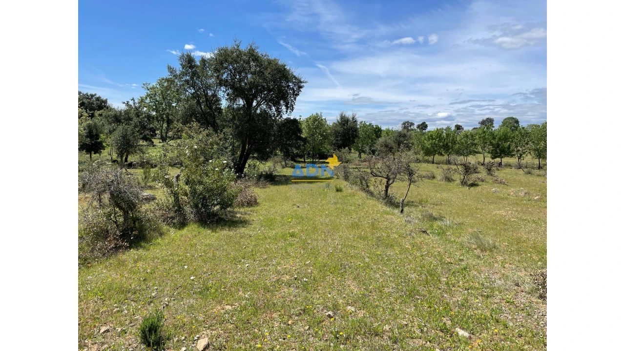 Terreno para Venda em Penamacor Foto 16