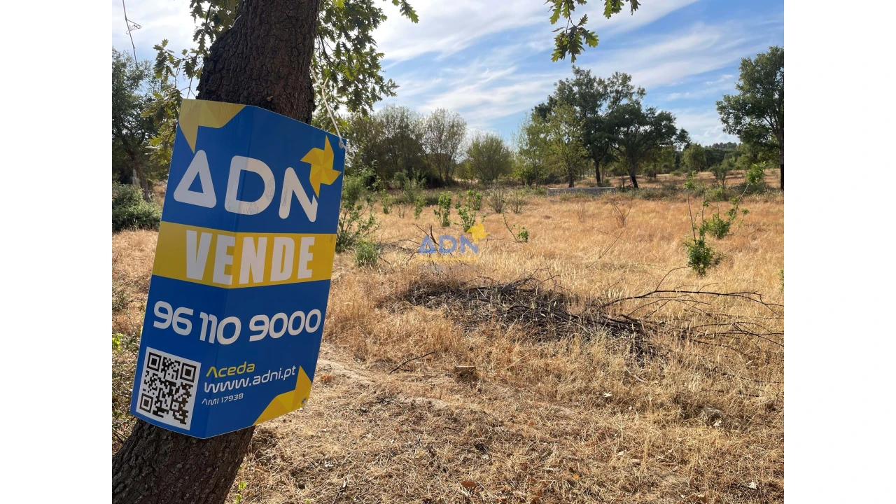 Terreno para Venda em Penamacor Foto 21