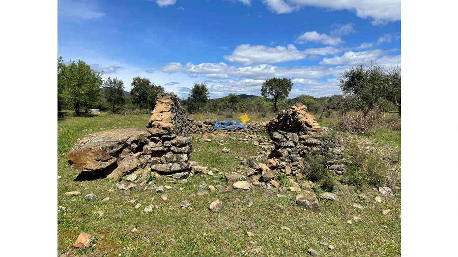 Terreno para Venda em Penamacor Foto 19