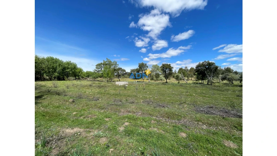 Terreno para Venda em Penamacor Foto 8