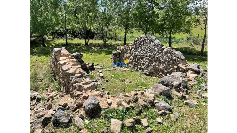 Terreno para Venda em Penamacor Foto 5