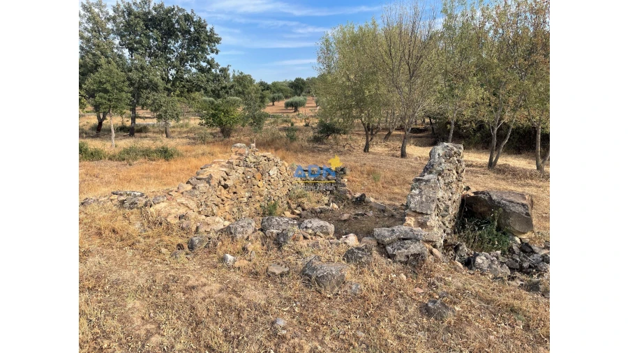 Terreno para Venda em Penamacor Foto 20