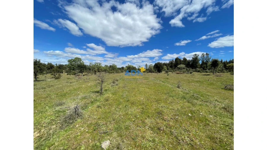 Terreno para Venda em Penamacor Foto 14