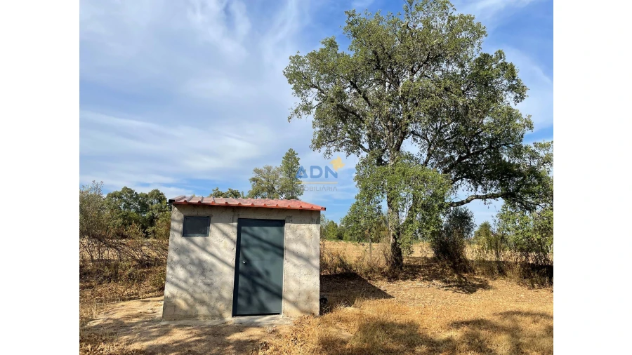 Terreno para Venda em Penamacor Foto 6