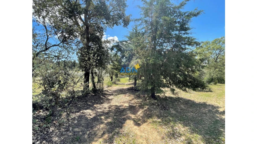 Terreno para Venda em Penamacor Foto 11