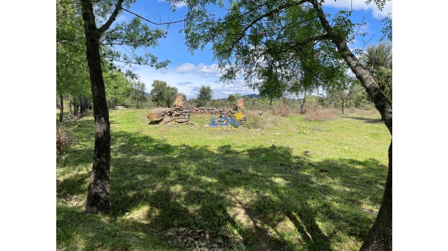 Terreno para Venda em Penamacor Foto 18