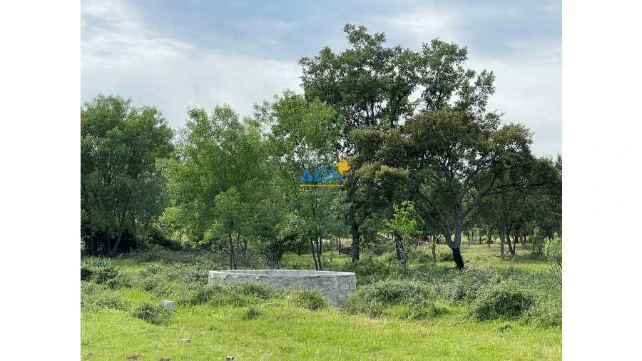 Terreno para Venda em Penamacor Foto 4