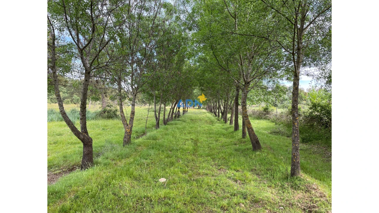 Terreno para Venda em Penamacor Foto 3
