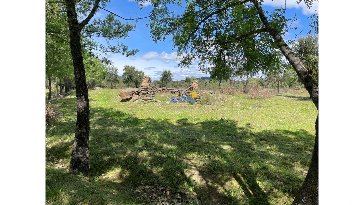 Terreno para Venda em Penamacor Foto 18