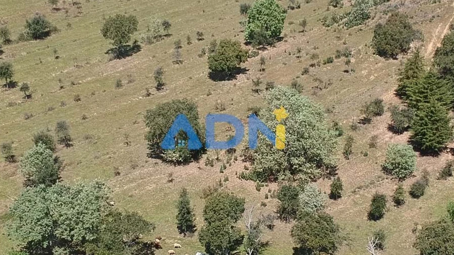 Terreno para Venda em Penamacor