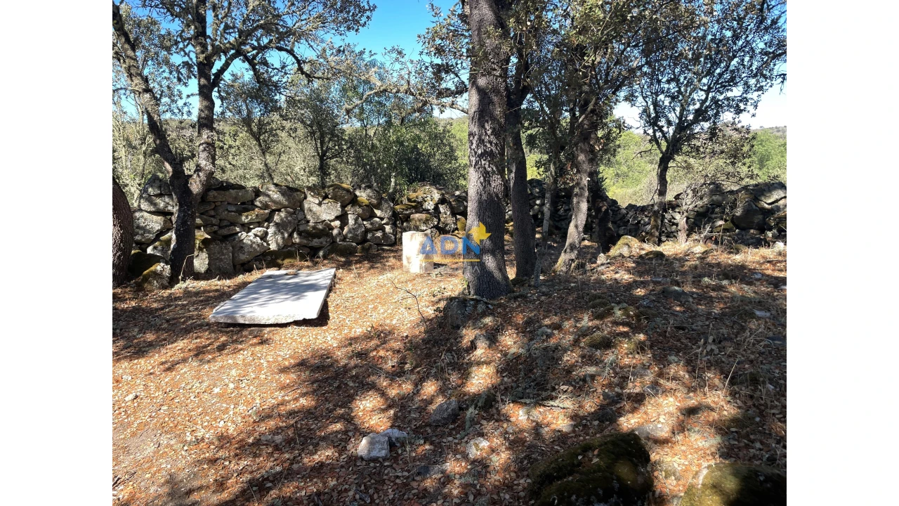 Terreno para Venda em Castelo Mendo, Ade, Monteperobolso e Mesquitela Foto 4