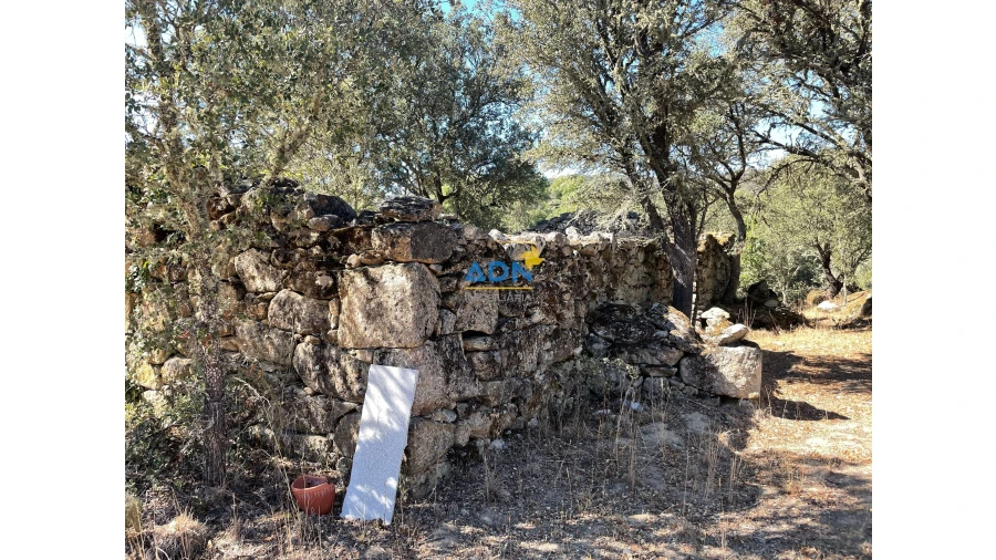 Terreno para Venda em Castelo Mendo, Ade, Monteperobolso e Mesquitela Foto 3