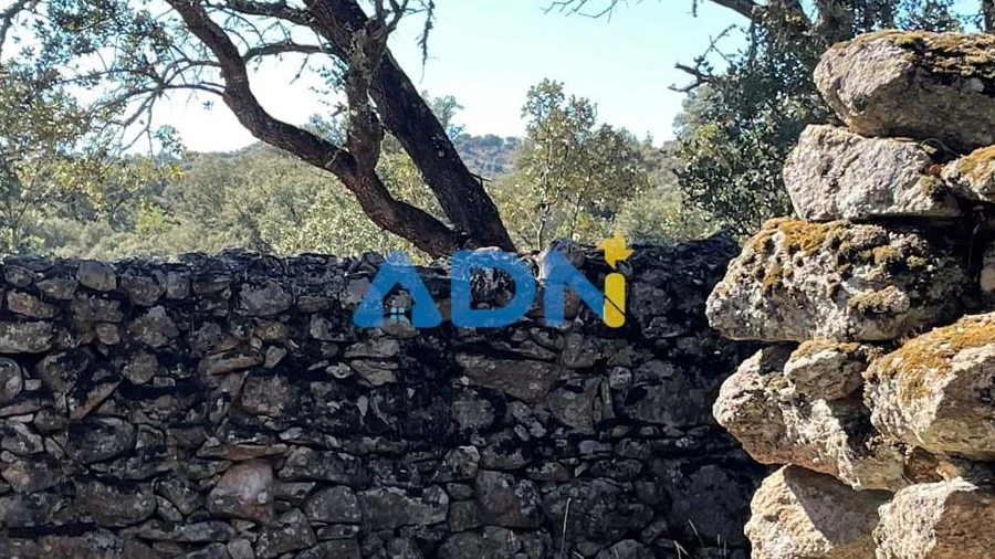 Terreno para Venda em Castelo Mendo, Ade, Monteperobolso e Mesquitela