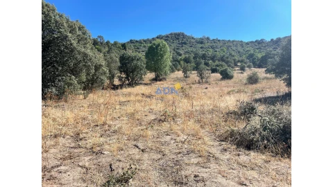Terreno para Venda em Castelo Mendo, Ade, Monteperobolso e Mesquitela