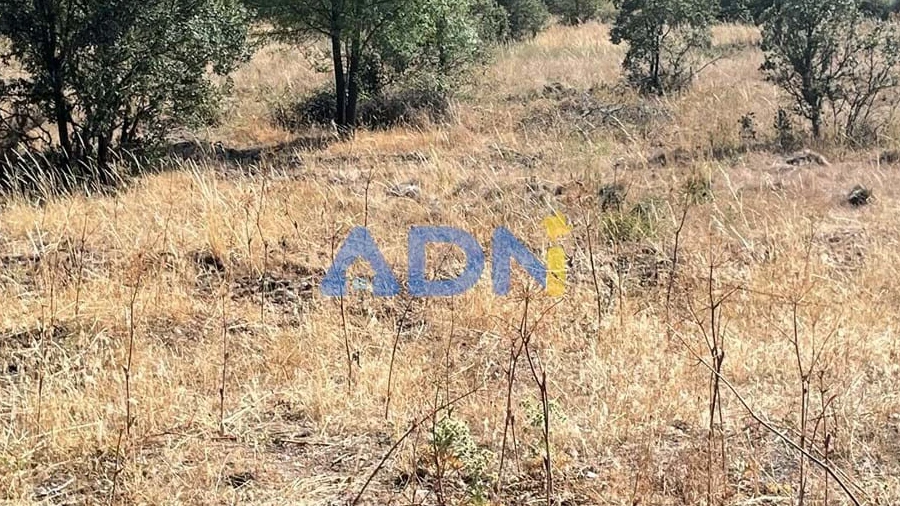 Terreno para Venda em Castelo Mendo, Ade, Monteperobolso e Mesquitela