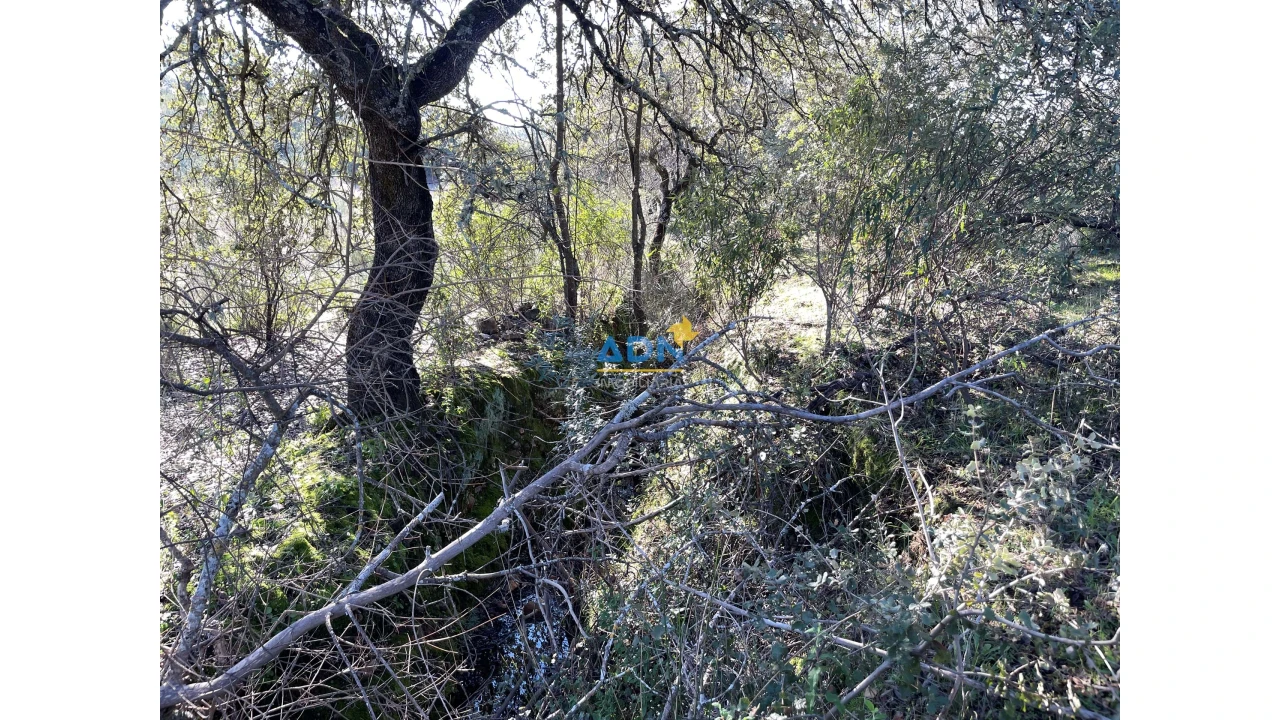 Terreno para Venda em Monfortinho e Salvaterra do Extremo Foto 21
