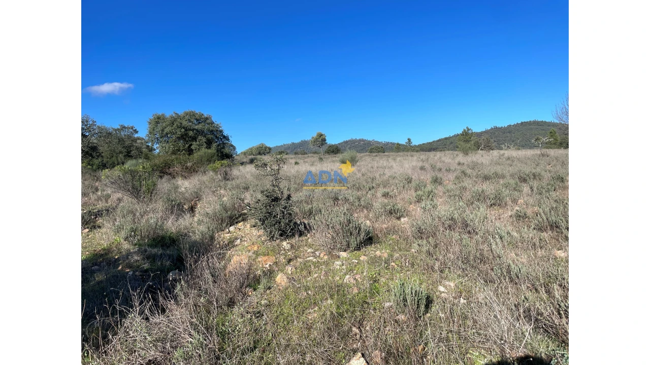 Terreno para Venda em Monfortinho e Salvaterra do Extremo Foto 23