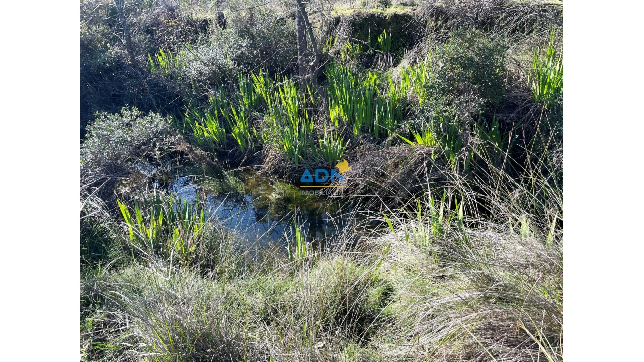 Terreno para Venda em Monfortinho e Salvaterra do Extremo Foto 19