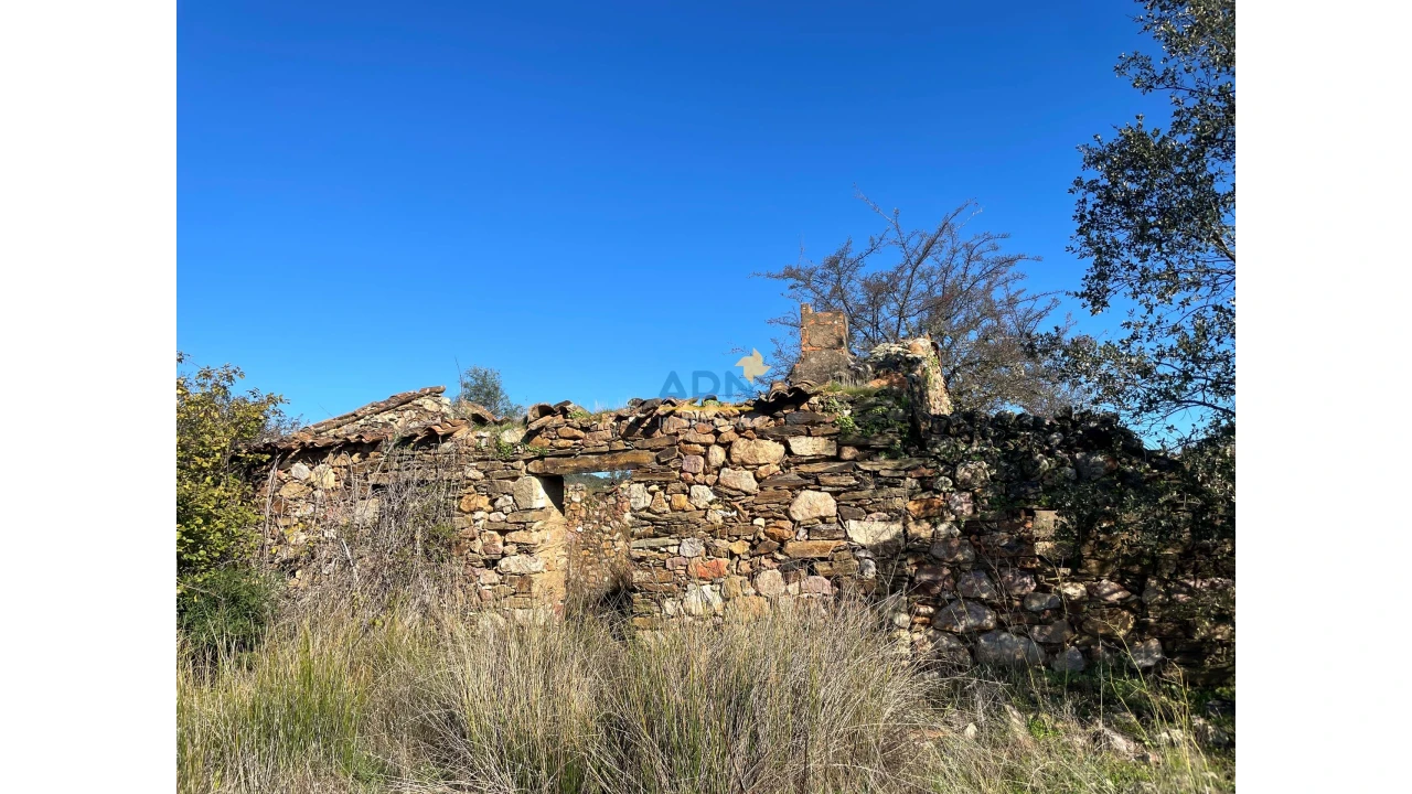 Terreno para Venda em Monfortinho e Salvaterra do Extremo Foto 10