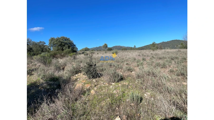 Terreno para Venda em Monfortinho e Salvaterra do Extremo Foto 23