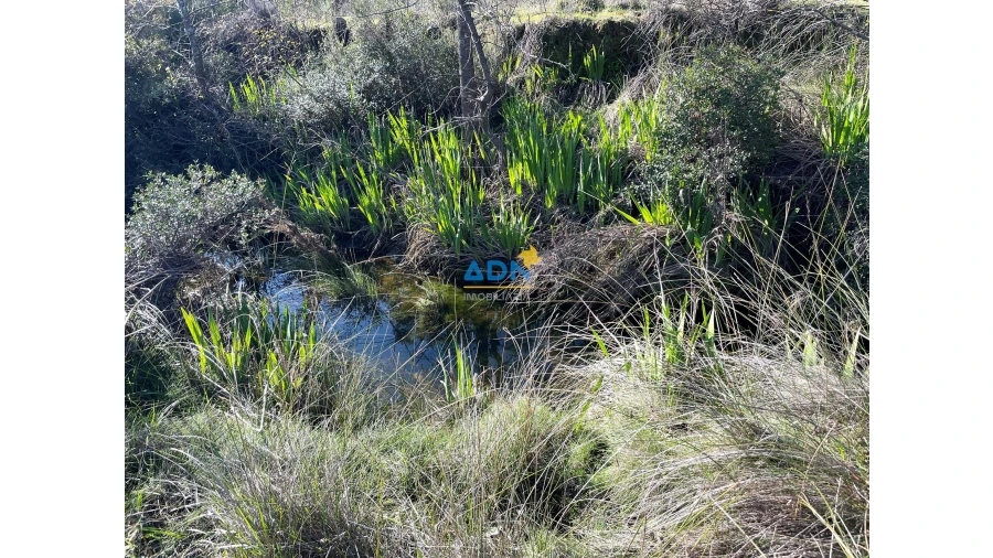 Terreno para Venda em Monfortinho e Salvaterra do Extremo Foto 19