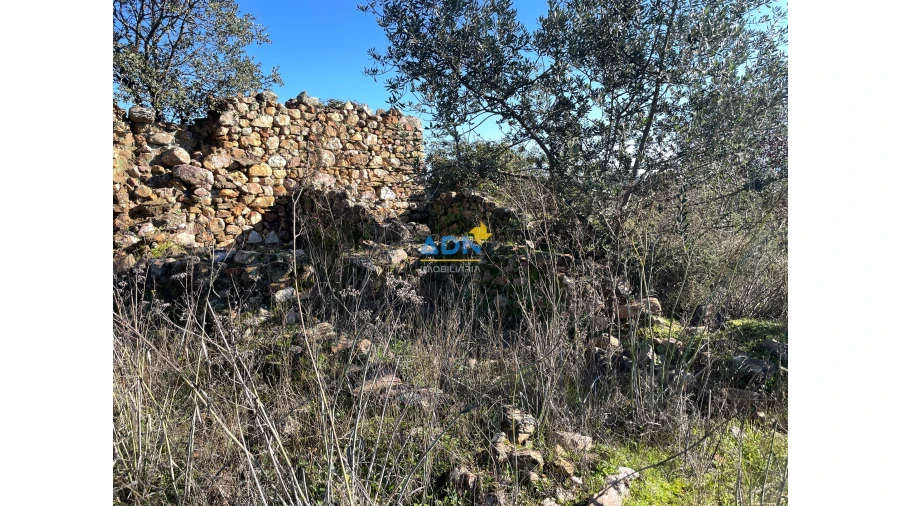 Terreno para Venda em Monfortinho e Salvaterra do Extremo Foto 16