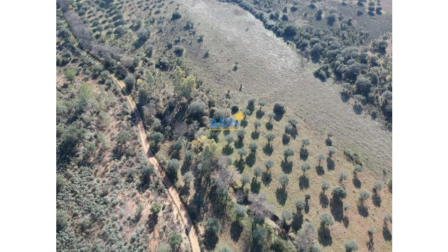Terreno para Venda em Monfortinho e Salvaterra do Extremo Foto 6
