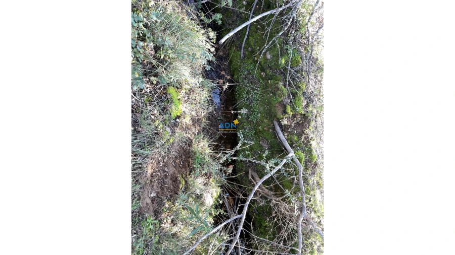 Terreno para Venda em Monfortinho e Salvaterra do Extremo Foto 20