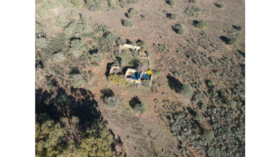 Terreno para Venda em Monfortinho e Salvaterra do Extremo Foto 5