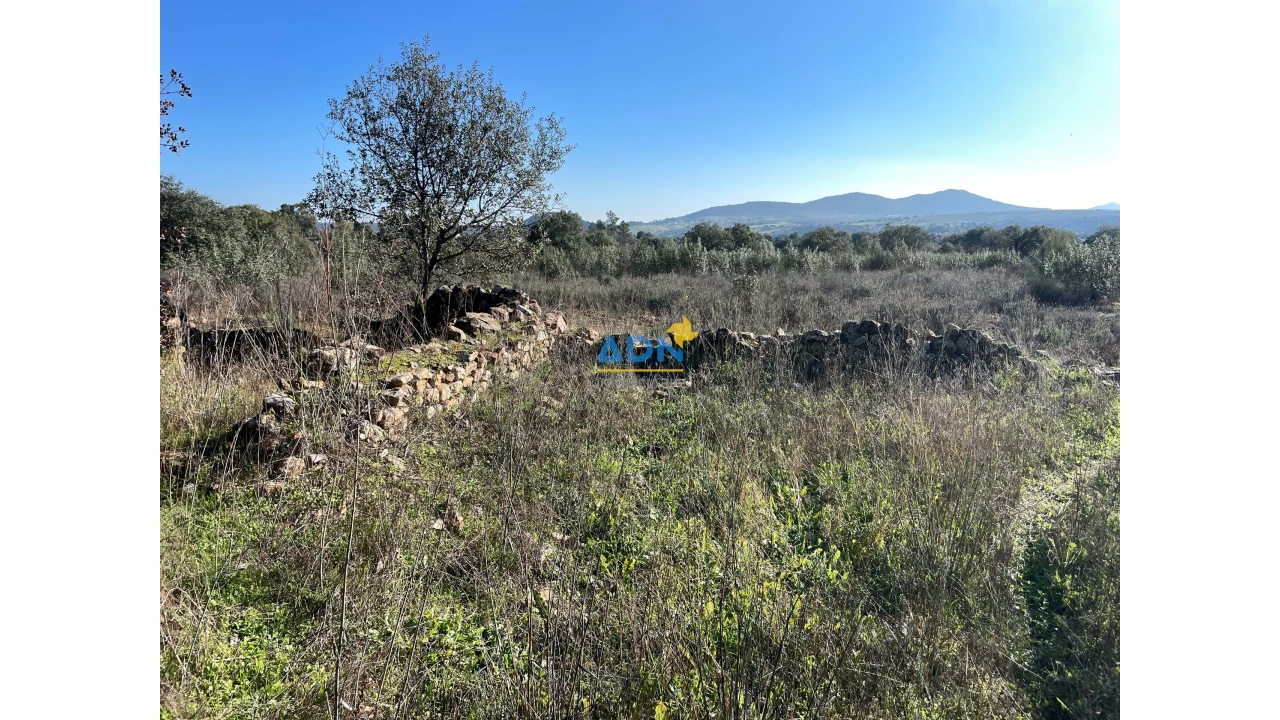 Terreno para Venda em Monfortinho e Salvaterra do Extremo Foto 17