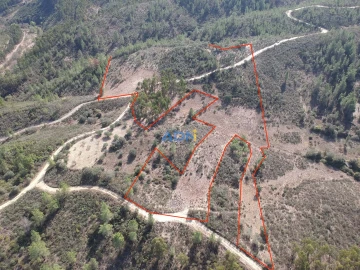 Terreno para Venda em Castelo Branco