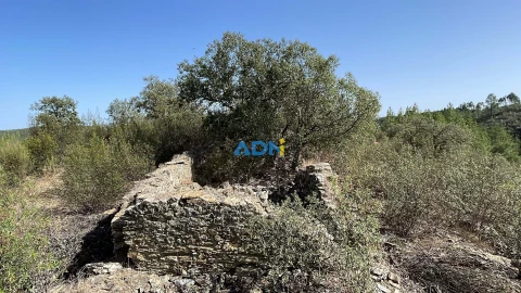 Terreno para Venda em Castelo Branco