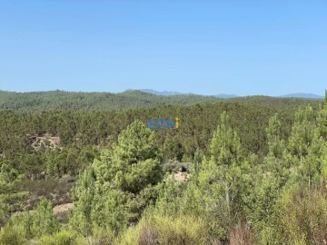 Terreno para Venda em Castelo Branco