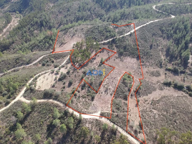 Terreno para Venda em Castelo Branco Foto 9