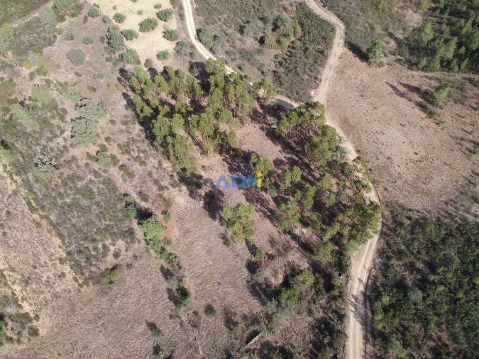 Terreno para Venda em Castelo Branco Foto 5