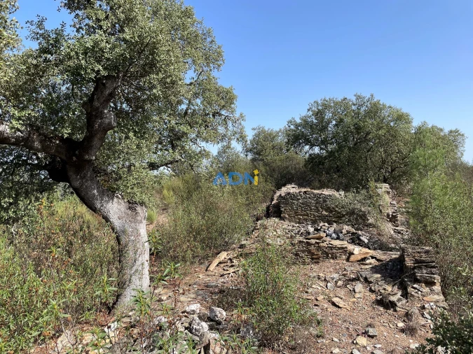 Terreno para Venda em Castelo Branco