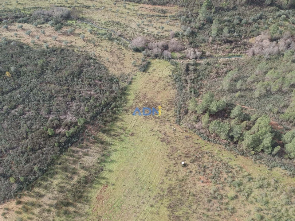 Terreno para Venda em Castelo Branco Foto 2