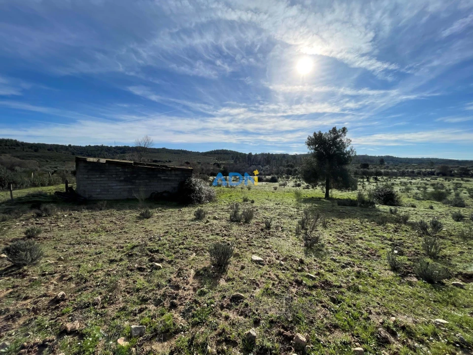Terreno para Venda em Castelo Branco Foto 6