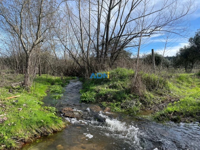 Terreno para Venda em Castelo Branco Foto 7